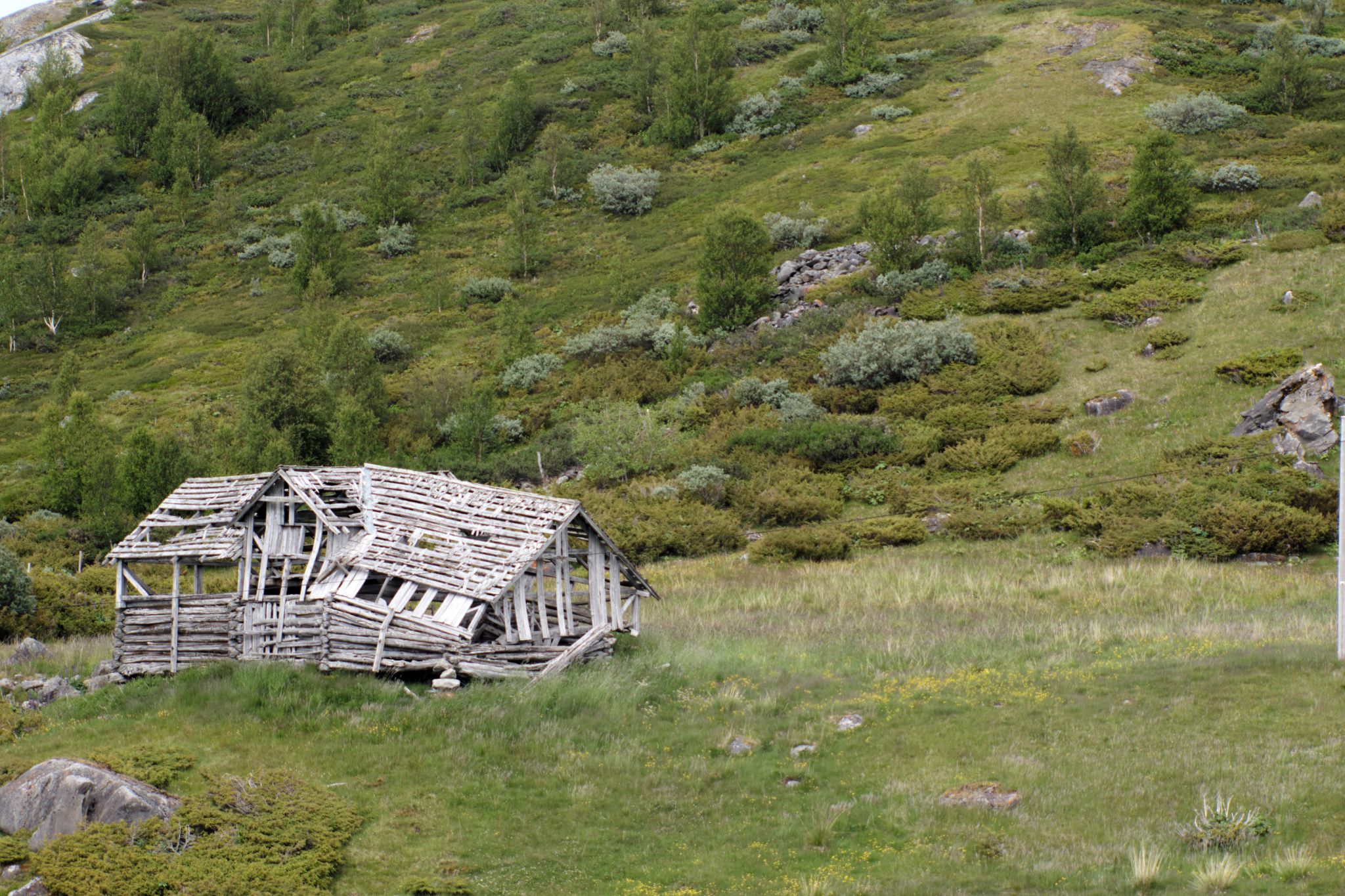 Norwegen 2025 25 07 10